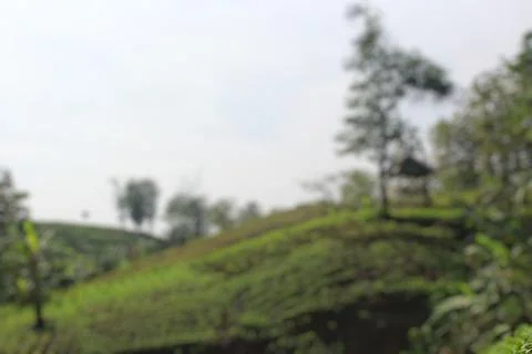 Defocused abstract background of scenery Stock Photos