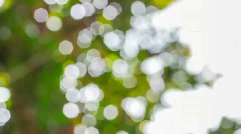 Defocused abstract green background Stock Footage 55621093