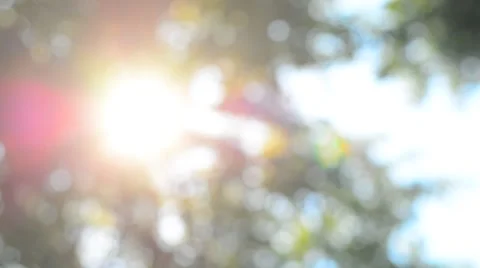 Defocused abstract nature background. Stock Footage 53865166