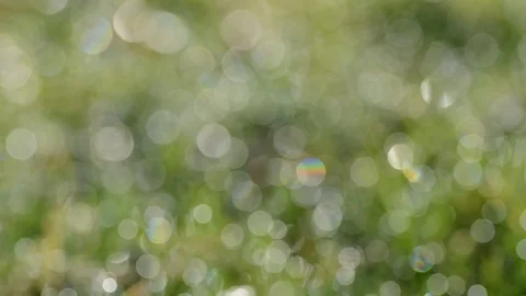 Defocused abstract nature background. Stock Footage 73822136
