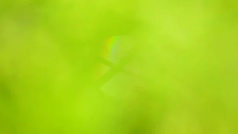 Defocused abstract nature background. Stock Footage 75084861