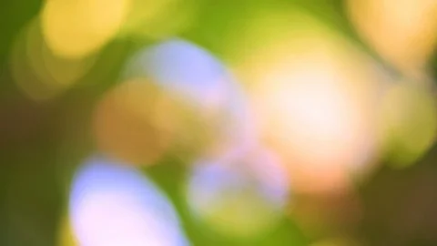 Defocused abstract nature background with green leaves and bokeh lights. 库存影片 76424975