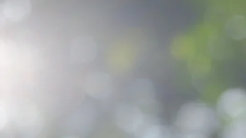 Defocused abstract nature background with green leaves and bokeh lights Stock Footage 108470552