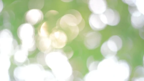 Defocused Abstract Nature Background With Green Leaves And Bokeh Lights Stock Footage 128284305