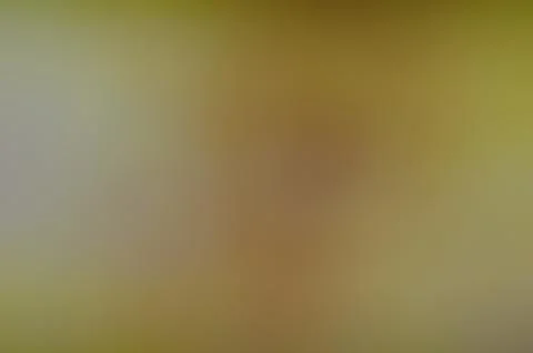 Defocused abstract texture background Illustrazione stock