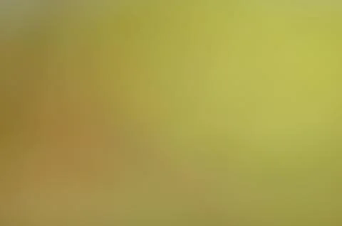 Defocused abstract texture background Illustrazione stock