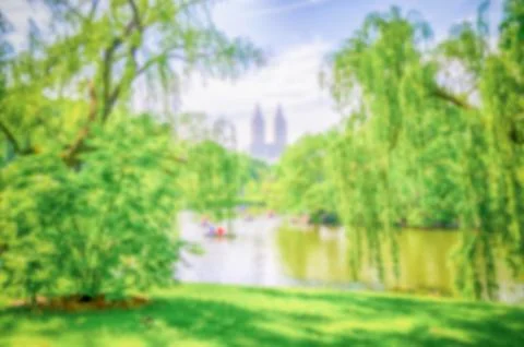 Defocused background of Central Park, New York City, USA Fotos Stock