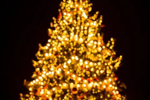Defocused background of Christmas tree. Stock Photos