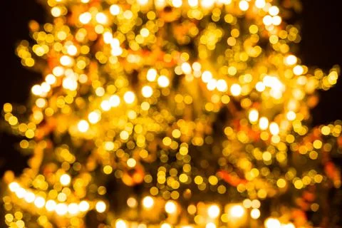 Defocused background of Christmas tree. Stock Photos