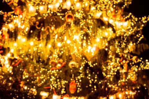 Defocused background of Christmas tree. Stock Photos