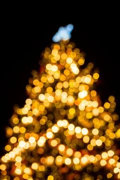 Defocused background of Christmas tree. Stock Photos