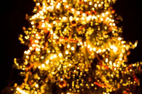 Defocused background of Christmas tree. Stock Photos