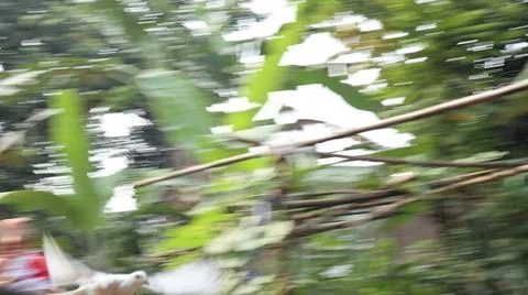 Defocused Background of flying Bird Foto stock