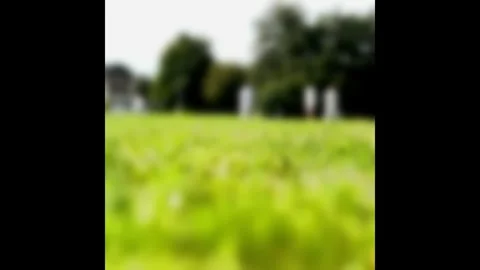 Defocused Background of Green Cricket Field with Players in White on a Sunny Day Stock Footage 322746290