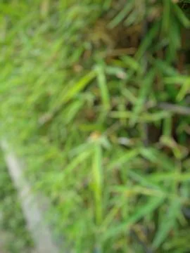 Defocused background Stock Photos