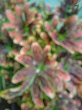Defocused background Stock Photos