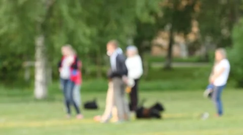 Defocused background of summer park Stock Footage 50746952