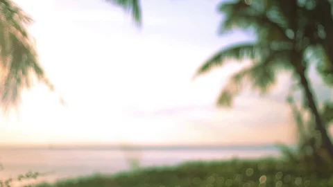Defocused background of tropical scene Stock Footage 70164290