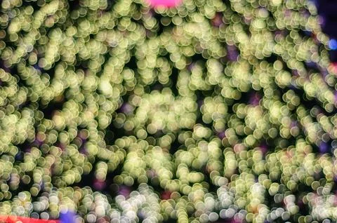 Defocused backgrounds Stock Photos