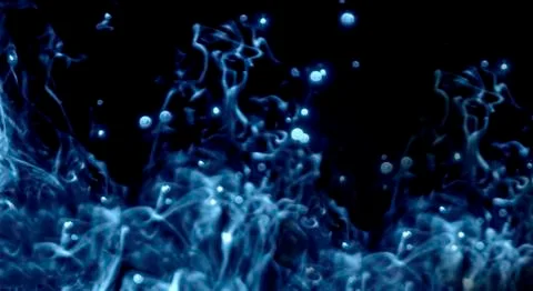 Defocused Blue Light Effect Against Black Background Stock Photos