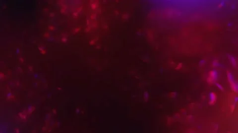 Defocused blur background. Red blue purple neon lights. 4k background i Stock Footage 170012886