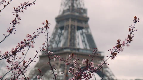 Defocused Blurred Eiffel Tower in City of Paris in Spring Season, View Stock Footage 241384673