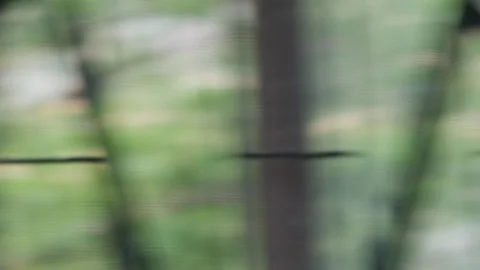 Defocused blurred motion view green bokeh landscape 스톡 동영상 333834004