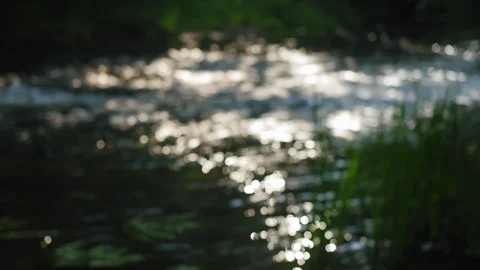 Defocused blurred water surface background. Abstract bllinking sea or river Stock Footage 115027334