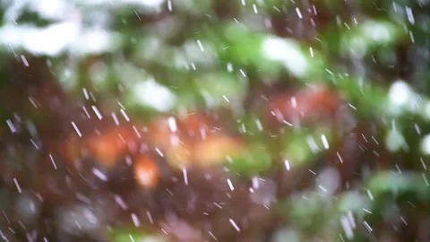 Defocused blurry background of falling winter snow snowflakes in Virginia Stock Footage 145698980