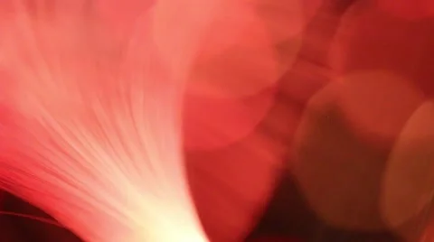 Defocused bokeh lights. Stock Footage 63409341