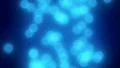 DEFOCUSED BOKEH LIGHTS PARTICLES BLUE HD Footage