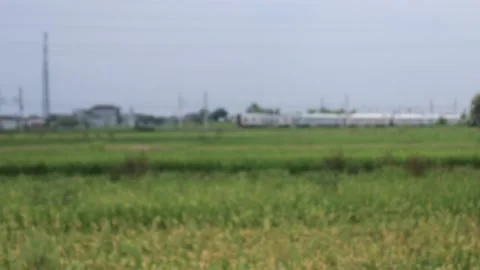 Defocused bokeh of a train crossing a meadow. Train defocus Stock Footage 220903838