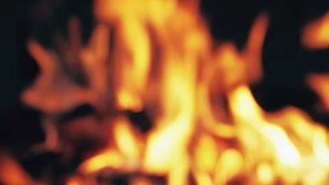 Defocused bonfire burning trees close up. Fire in camping Orange flames on black Stock Footage 146444400