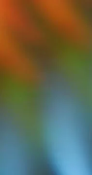 Defocused bright flare gradient light colorful 스톡 일러스트