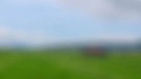 Defocused cabin in the middle of the rice fields surrounded by hills Stock Photos