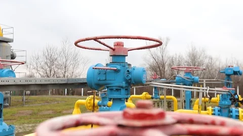 The defocused camera removes two large red head cocks Stock Footage 128687751