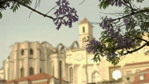Defocused Carmo Convent in Lisbon, framed jacaranda blossom Stock Footage 118806789