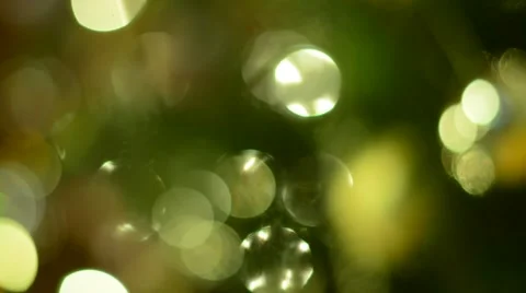 Defocused Christmas tree Background. Stock Footage 58696539