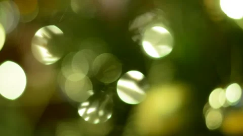 Defocused Christmas tree Background. Stock Footage 58696559
