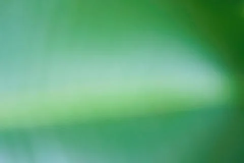 Defocused dynamic abstract green background 스톡 사진