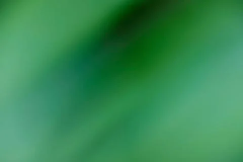 Defocused dynamic abstract green background 스톡 사진