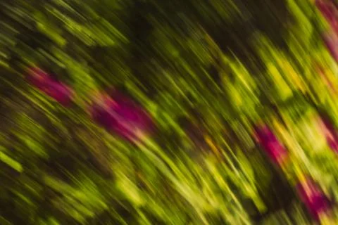 Defocused dynamic abstract green background Stock Photos