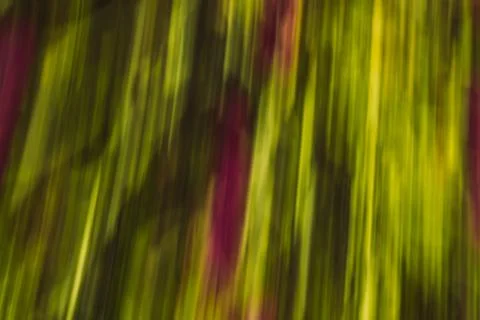 Defocused dynamic abstract green background Stockfoto's