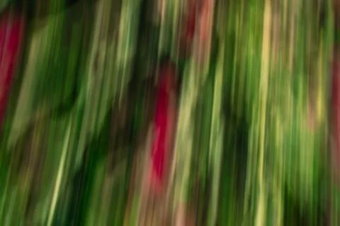 Defocused dynamic abstract green background Stock Photos