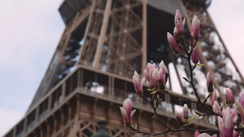 Defocused Eiffel Tower in City of Paris in Spring Season, View Through Stock Footage 241384490