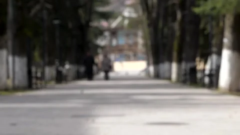 Defocused footage of elderly couple strolling down a ree-lined alley in daylight Stock Footage 269835761