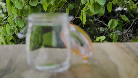Defocused glass jar with sharp swaying leaves background 4k Vidéo 341335102