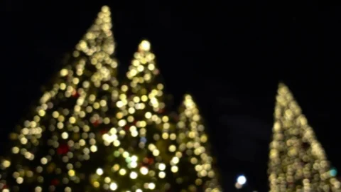 Defocused illuminated Christmas trees Video stock 88499220