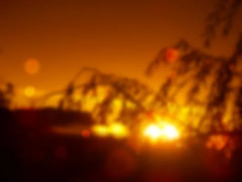 Defocused image of trees on sunset background with bokeh effect Stock Illustration