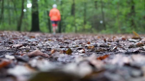 Defocused jogger running through forest in autumn Stock Footage 68766566